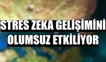 Stres zeka gelişimini olumsuz etkiliyor