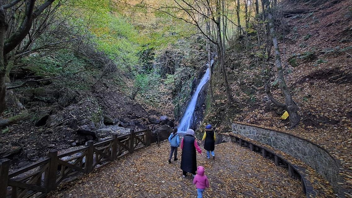 AA-20221113-29427878-29427877-DUZCEDEKI_AYDINPINAR_SELALESI_SONBAHARDA_DOGA_VE_FOTOGRAF_TUTKUNLARINI_AGIRLIYOR