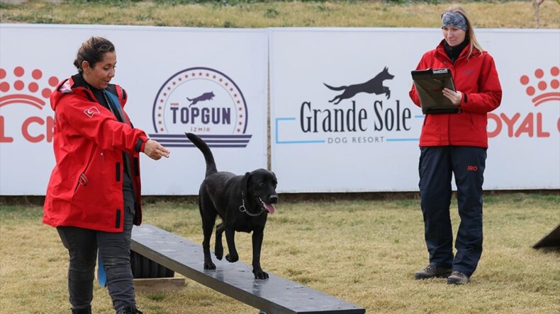 İzmir’deki sınavda arama köpeği adayları zorlu parkurda yeteneklerini gösterdi