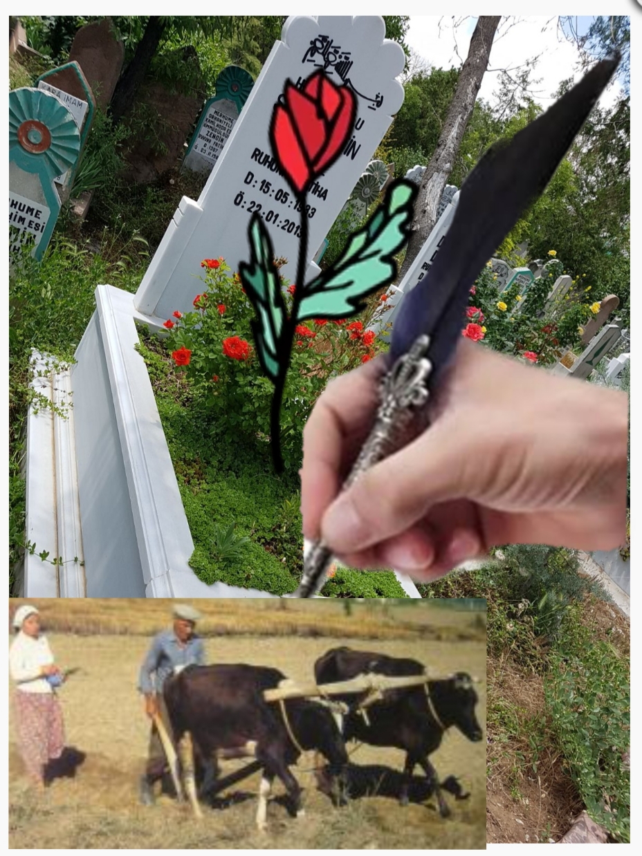 VERİN BANA SABAN İLE KALEMİ