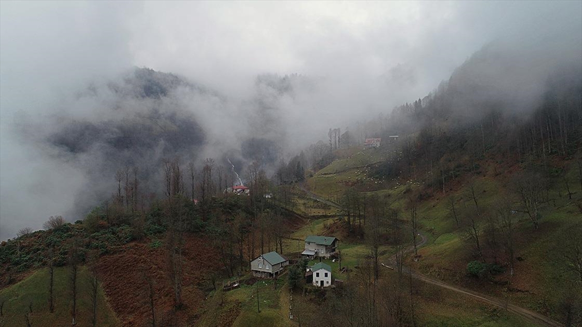 Trabzon’un ‘Hıdırnebi Yaylası’ sis altındaki güzelliğiyle ziyaretçilerini karşılıyor