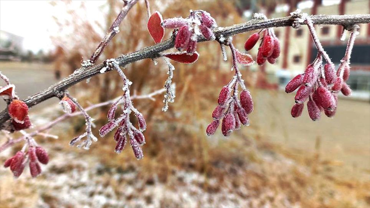 Doğu Anadolu’da soğuk hava etkili oluyor