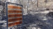 Antalya Milletvekili Hasan Subaşı, yanan orman alanlarının ağaçlandırılması gerekirken talan edildiğini belirterek, konuyu TBMM gündemine taşıdı.