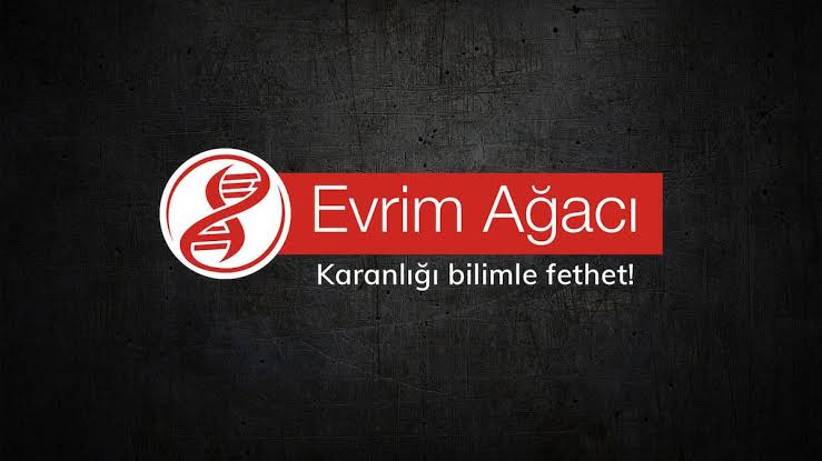 EVRİM AĞACI