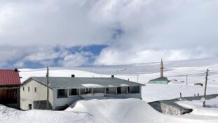 Doğu Anadolu’da kar yağışı etkili oluyor