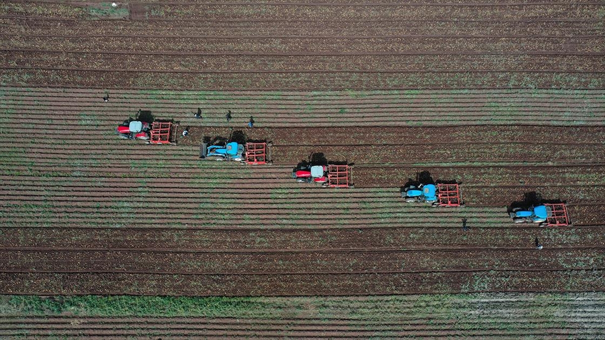 Tarım ve orman alanlarında düzenlemeleri içeren kanun Resmi Gazete’de