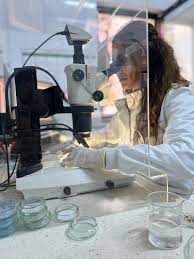 Farklı türlerdeki şekerlerde mikroplastiğe rastlandı