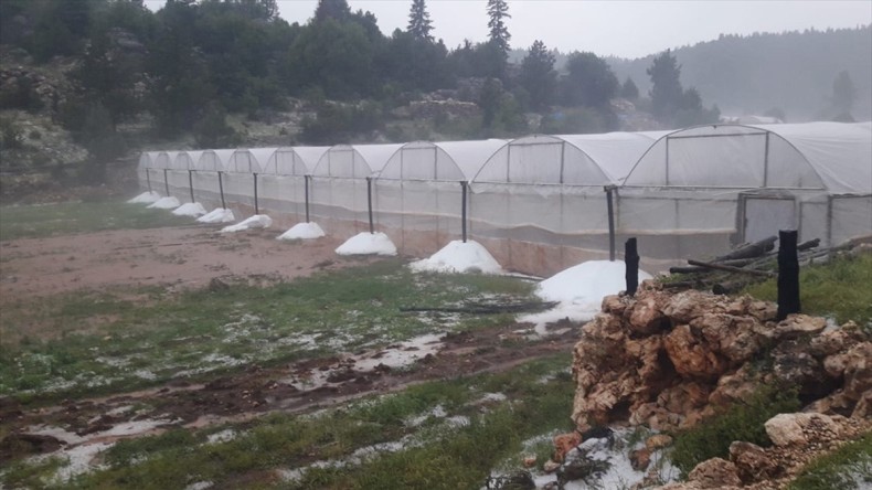 Mersin’de sağanak tarım alanlarında hasara neden oldu