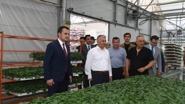 ANTALYA FİDE ÜRETİMİNDE TÜM DÜNYAYA HİZMET EDİYOR