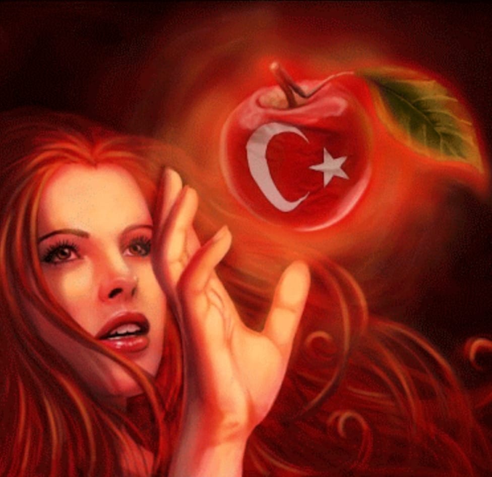 TÜRKÇE TÜRK MİLLETİNİN SES DÜNYASIDIR