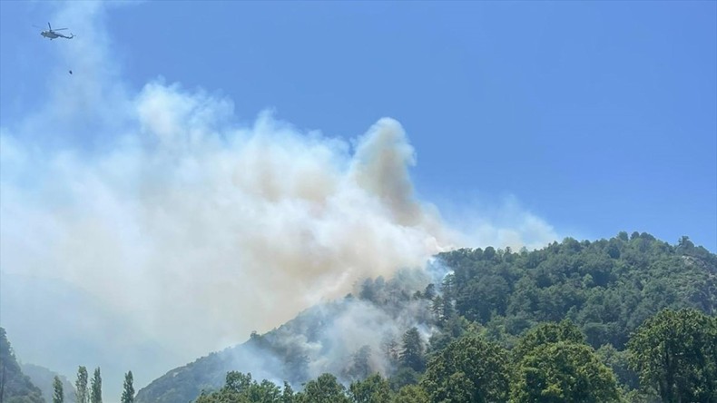 Balıkesir İvrindi’de orman yangını çıktı