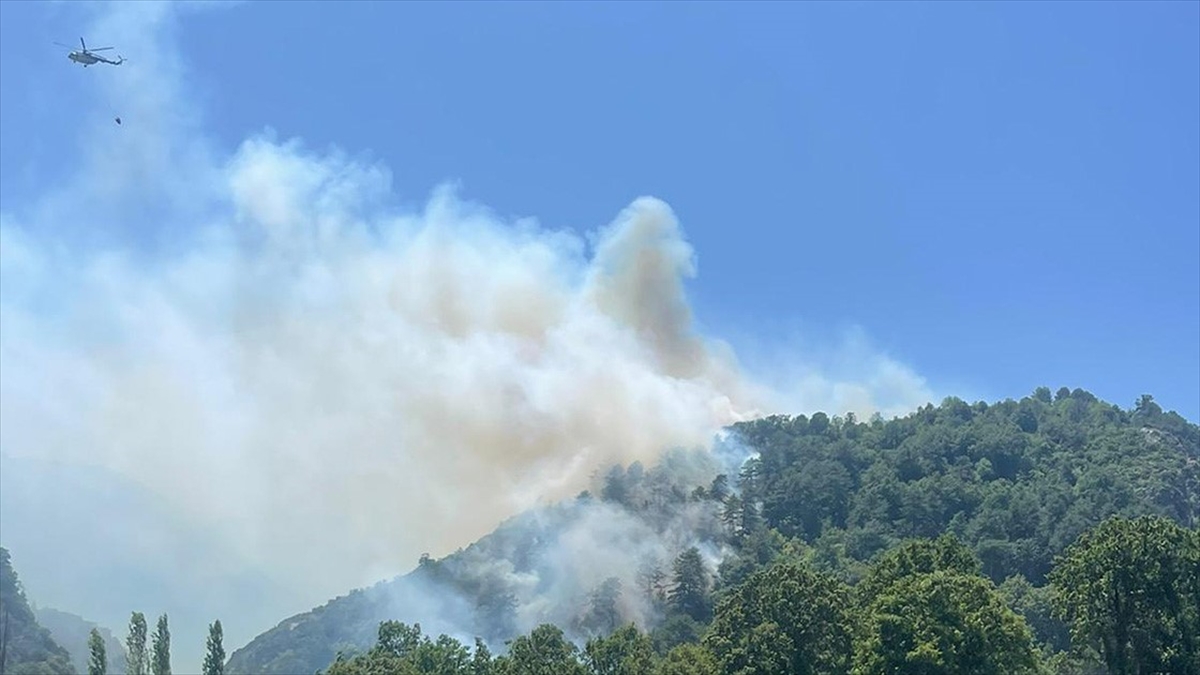 Balıkesir İvrindi’de orman yangını çıktı