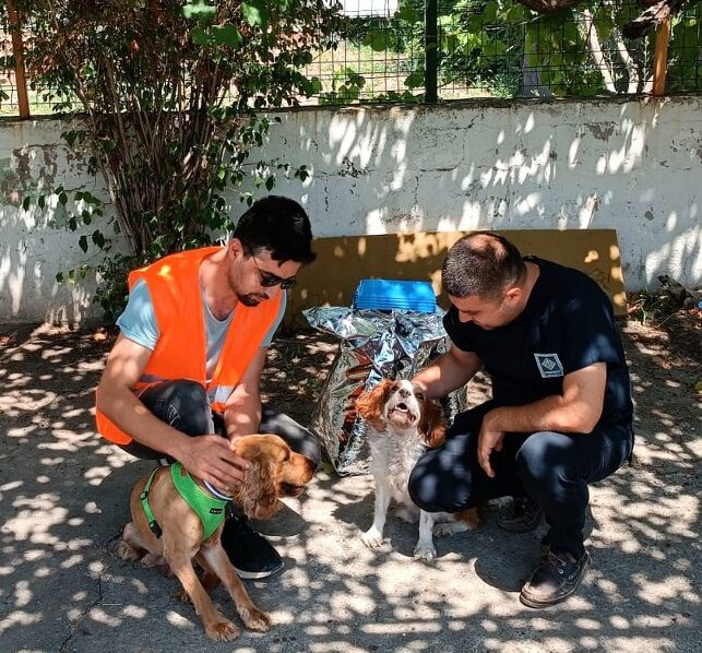 OSMANİYE’DE, ŞİDDETE MARUZ KALAN KÖPEK SAHİPLENDİRİLDİ (2)