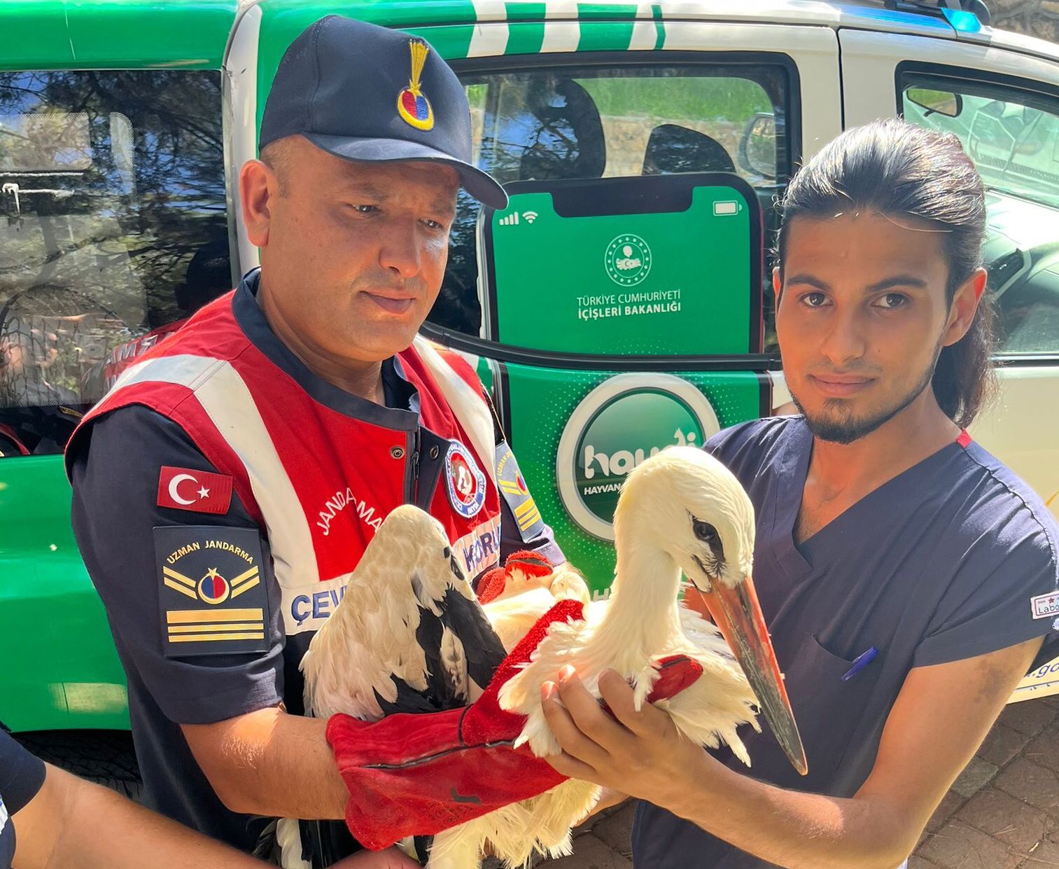 Kumluca İlçesi Olimpos Adrasan bölgesinde yarı baygın leylek 