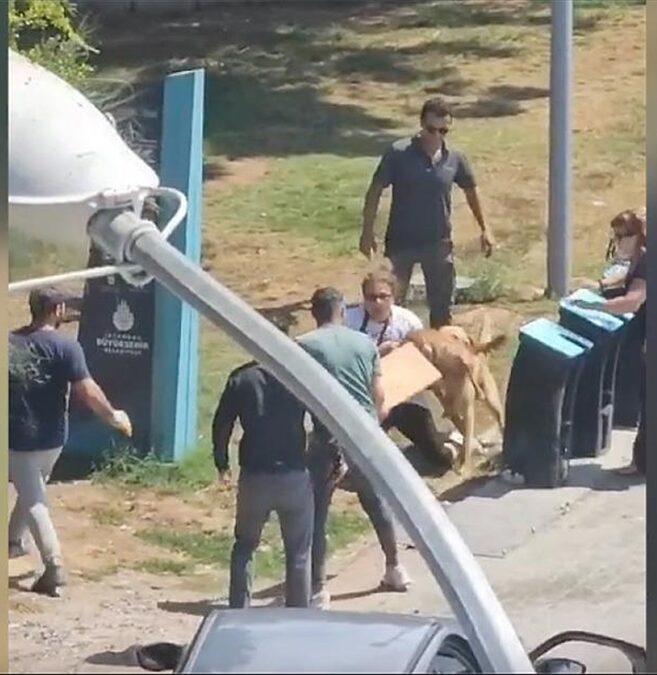 Kadıköy’de köpeğin saldırısına uğrayan kadın yaralandı