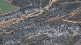 Çanakkale’deki orman yangınını havadan görüntülendi