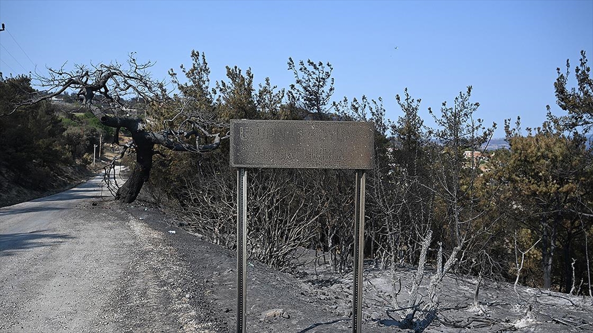 Çanakkale’deki orman yangını nedeniyle 1428 kişi tedbir amaçlı tahliye edildi