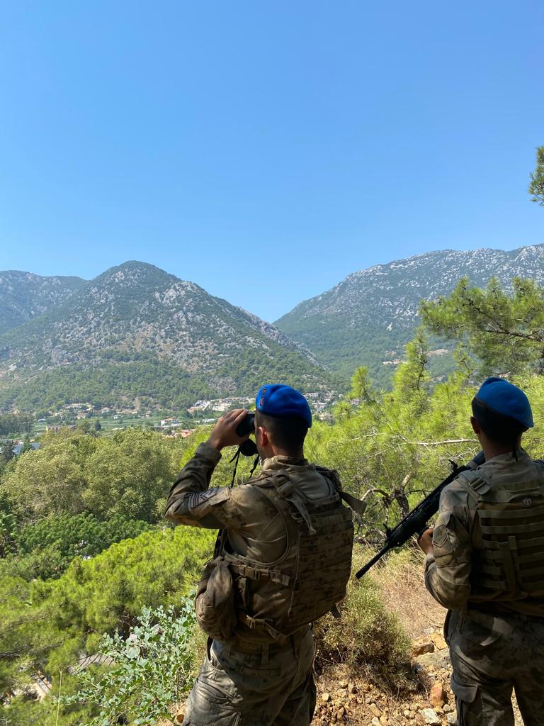 ORMANLIK BÖLGELERİN KONTROLÜ