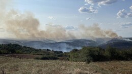 Türkiye-Bulgaristan sınırında çıkan orman yangını nedeniyle Edirne’de önlem alındı