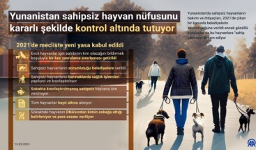 Yunanistan’da sahipsiz hayvanların bakımı ve ihtiyaçları, 2021’de çıkan bir kanunla belediyelerin sorumluluğuna verildi