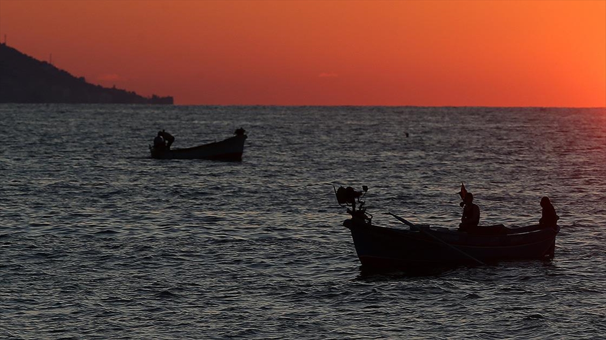 Küresel ısınmayla balıkların göç yollarının değişmesi Türkiye’deki balık avcılığını olumsuz etkiliyor