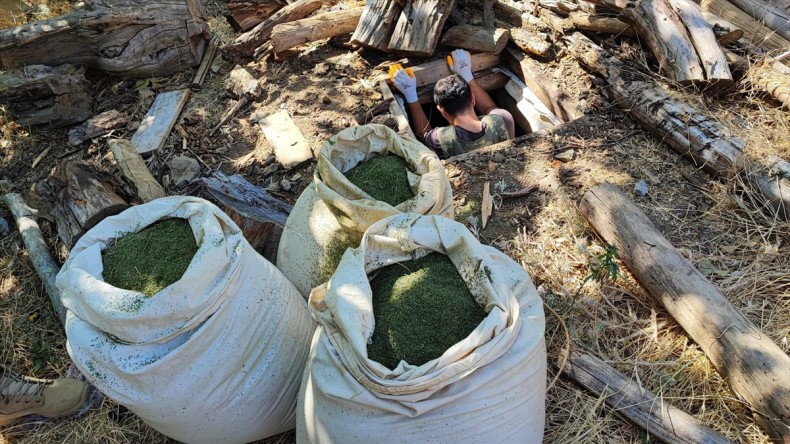 Diyarbakır’da 1 ton 530 kilogram esrar ve 2 milyon 850 kök skunk bitkisi ele geçirildi