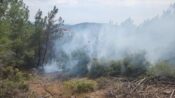 Çanakkale’de yıldırım düşmesi sonucu 6 noktada çıkan orman yangınlarından 5’i söndürüldü