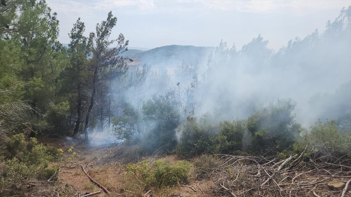 Çanakkale’de yıldırım düşmesi sonucu 6 noktada çıkan orman yangınlarından 5’i söndürüldü