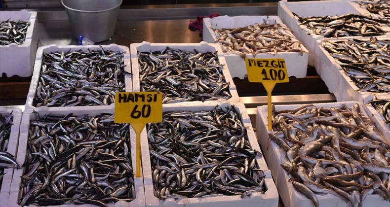 Trabzon’da balıkçı tezgahlarında hamsi bolluğu