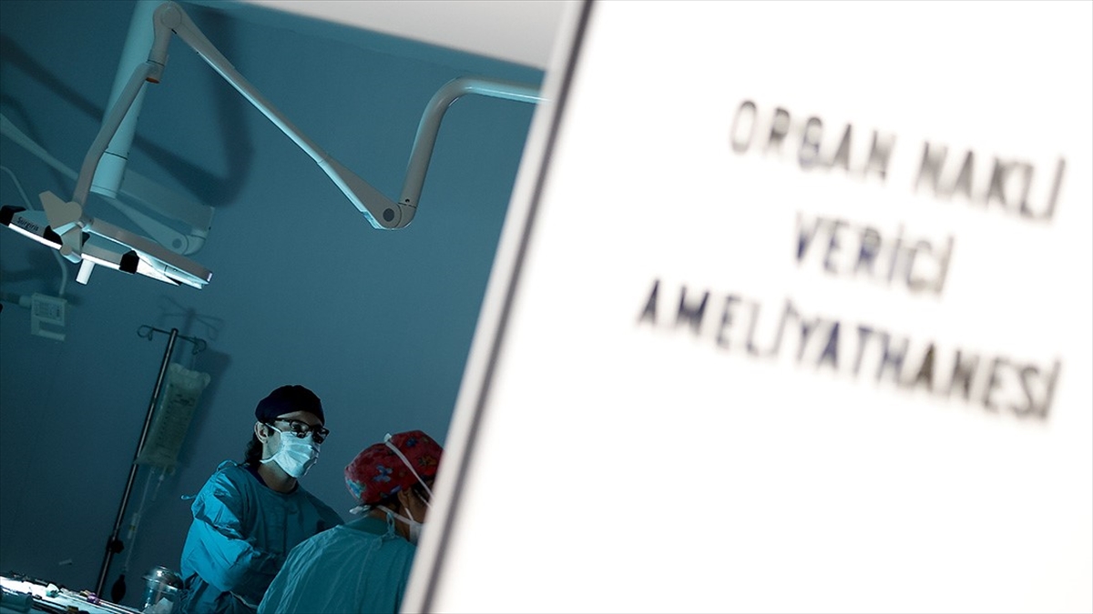 Türkiye’de 10 ayda beyin ölümü gerçekleşen kişilerin yüzde 16’sının organları bağışlandı
