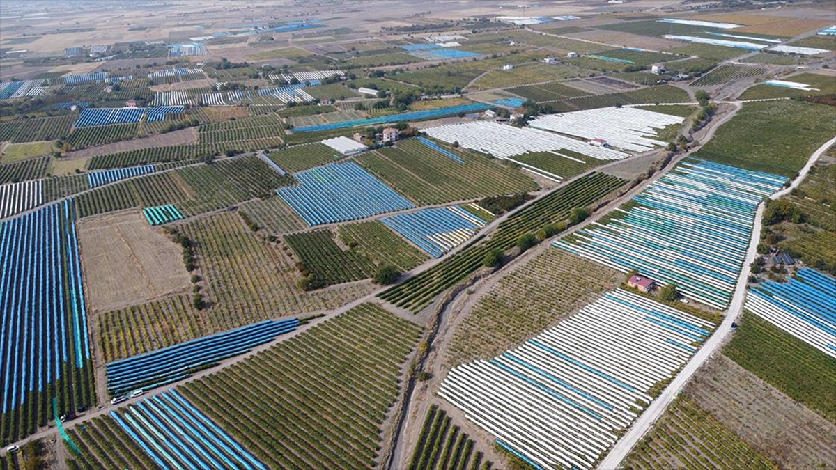 Elazığ’da üzüm bağları mavi beyaz örtüyle kaplandı