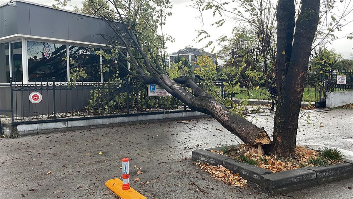 Bolu’da rüzgarda devrilen ağaç polis noktasının üzerine düştü!