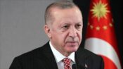 Avrupa Parlamentosunun Alman üyesinden Cumhurbaşkanı Erdoğan’a “Türkiye’nin çıkarlarını savunuyor” övgüsü