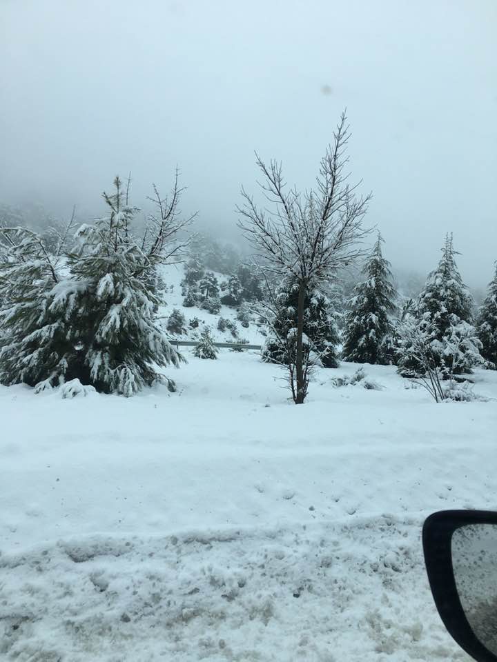 Türkiye’den bir arkadaşımın, NOEL Bayramını sorması üzre, yazdığım kısa bir anlatım. 