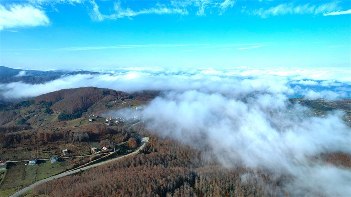 Kastamonu’da vadilere çöken sis ve ormanlık alanlar dron ile görüntülendi