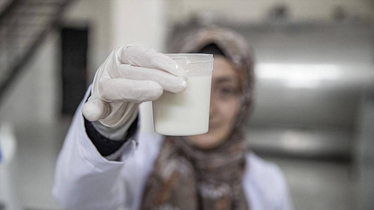 Erzurum’da süt toplama merkezi kırsaldaki kadınların geçim kaynağı oldu