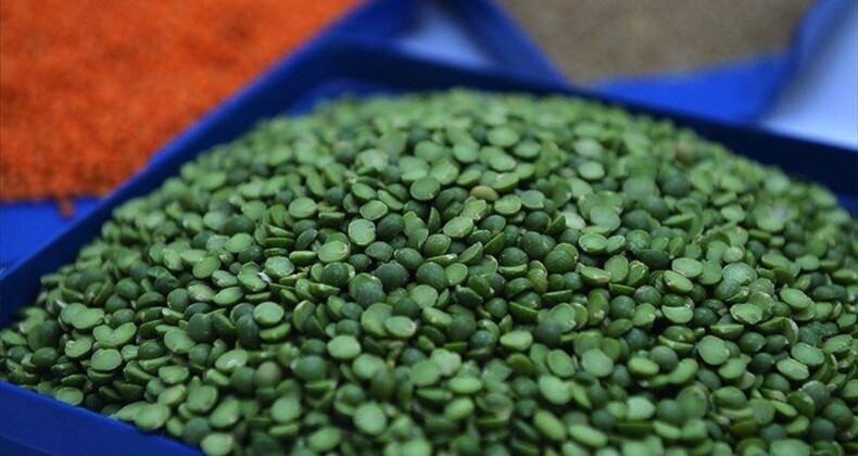Yeşil mercimek ithalatında gümrük vergisi sıfırlandı