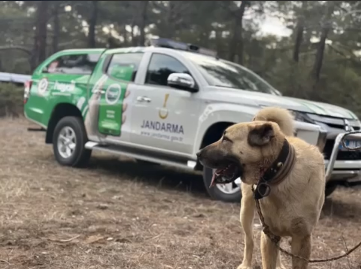 Burdur’da köpek dövüştüren 22 kişiye, 142 bin 868 lira idari para cezası verildi
