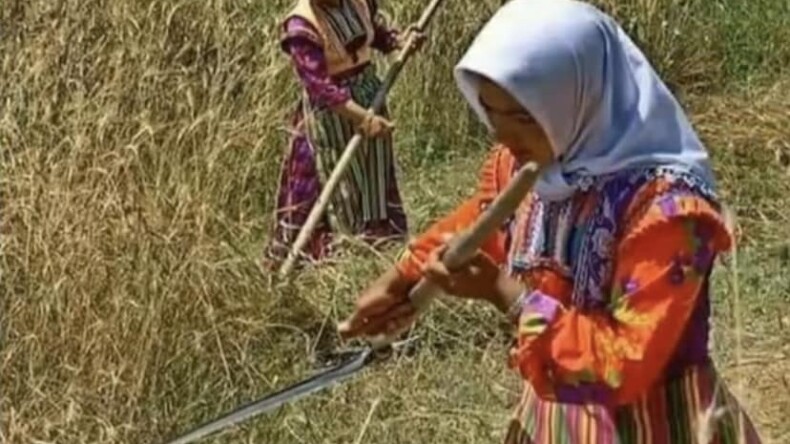 8 MART DÜNYA KADINLAR GÜNÜ