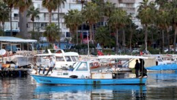 Akdeniz kıyılarında yoğunlaşan göçmen denizanası, balıkçılığı olumsuz etkiliyor