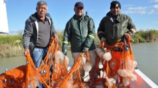 Akdeniz’de avlanan balıkçıların ağları ölü göçmen denizanalarıyla doldu