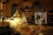 İSTANBUL – Lassie: Yepyeni Bir Macera” filminin Türkiye galası CKM’de yapıldı