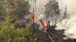 Antalya’da ormanlık alanda çıkan yangına müdahale ediliyor