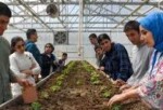 Özel gereksinimli öğrenciler serada sebze yetiştiriyor