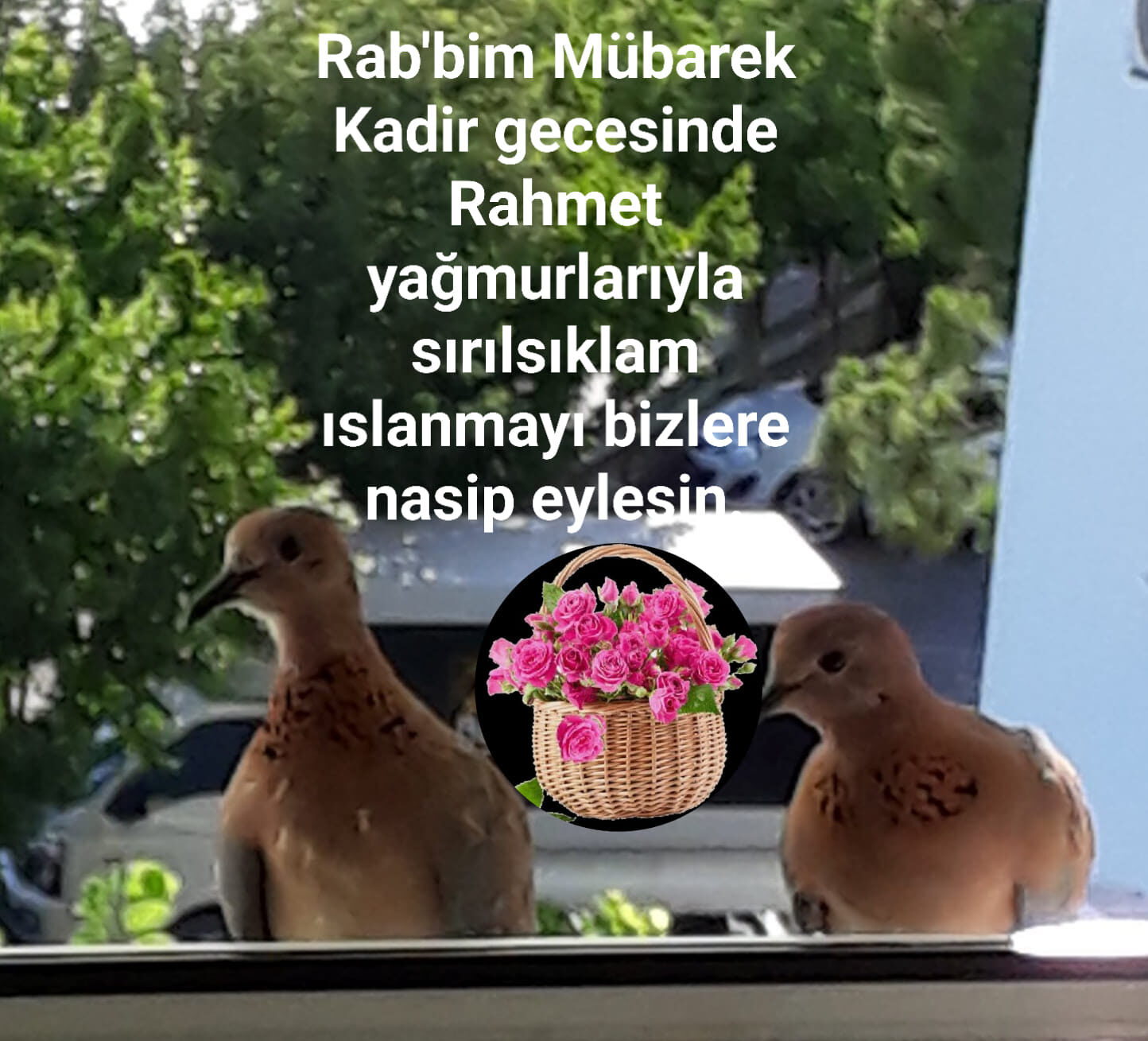 Kadir Geceniz kutlu olsun!