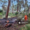Antalya’da ormanlık alanda çıkan yangın söndürüldü