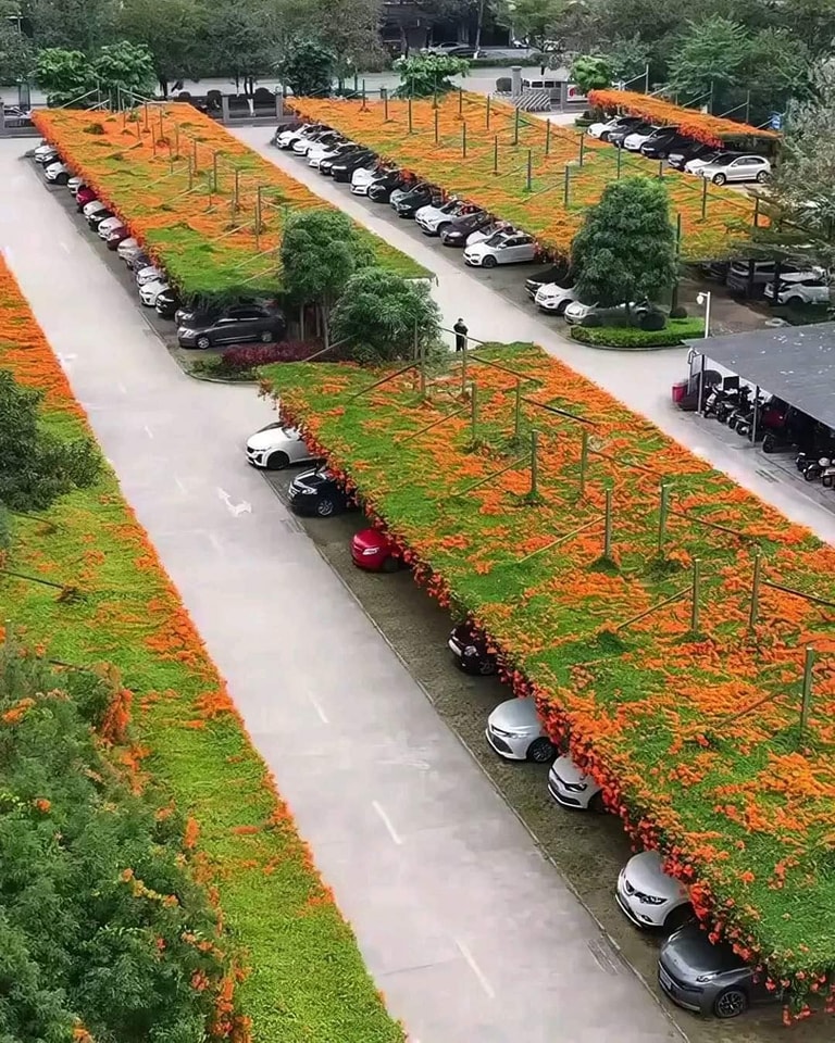 Halka Açık Otoparkların Çatıları