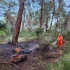 Antalya’da ormanlık alanda çıkan yangın söndürüldü