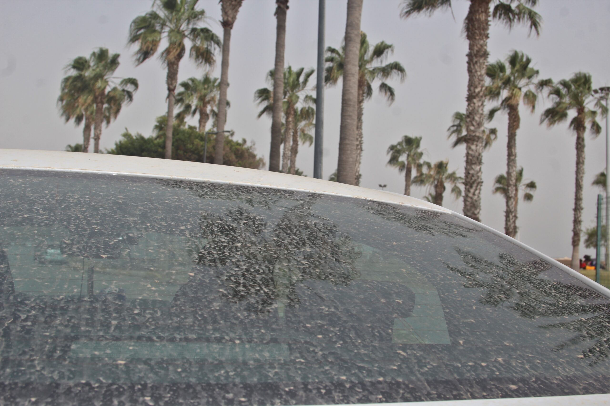 Adana, Mersin, Hatay ve Osmaniye’de toz taşınımı etkili oldu