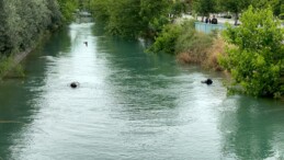 Adana’da sulama kanalına giren çocuk kayboldu